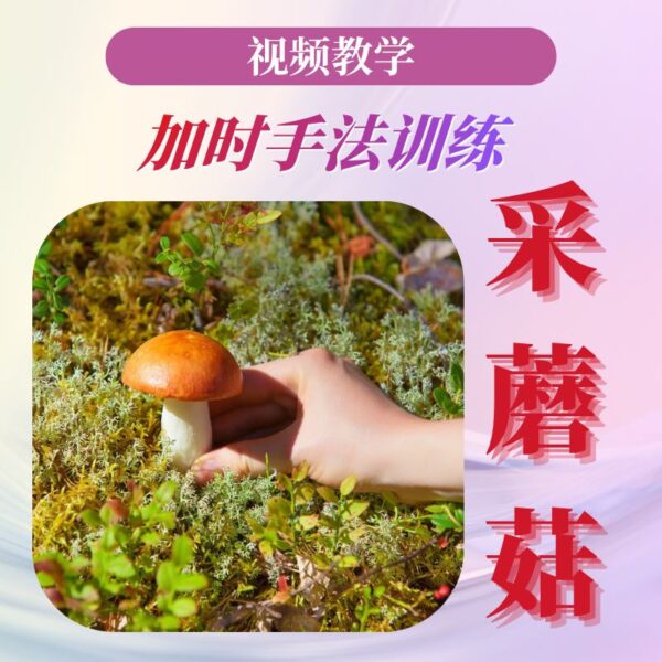 御龙强健大法：采蘑菇延时手法训练